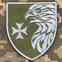 Нарукавний знак 37 окрема ескадрилья безпілотної авіації 383 ОБр БПАК олива