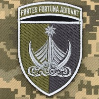 Нарукавний знак 42 ОБрМП польовий