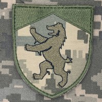 Нарукавний знак Закарпатський обласний ТЦК та СП піксель