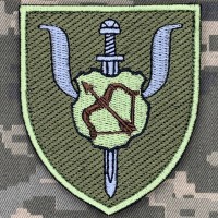 Шеврон  87 центр морально-психологічної підтримки 16 АК польовий