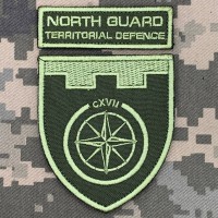 Шеврон 117 ОБр ТРО комплект олива