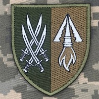 Шеврон 1201 зенітно-ракетний дивізіон 20 АК олива