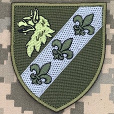 Шеврон 148 командно-розвідувальний центр олива