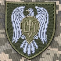 Шеврон 15 окремої бригади транспортної авіації олива
