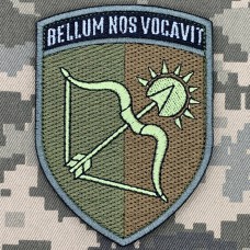 Шеврон 163 ОМБР вар.2 польовий