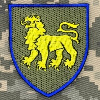 Шеврон 167 ОМБр варіант