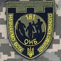 Шеврон 181 ОНБ олива