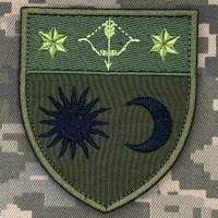 Шеврон 229 окремий батальйон логістики олива