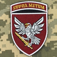 Шеврон 238 ОББС