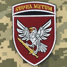 Шеврон 238 ОББС