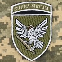 Шеврон 238 ОББС польовий