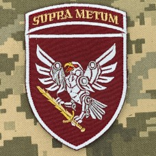 Шеврон 238 ОББС н.з