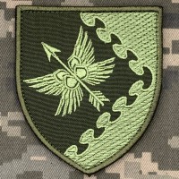 Шеврон 437 окремий дивізіон безпілотних систем ПК Схід олива