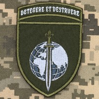 Шеврон 7 центр безпілотних систем ДССТ DETEGERE ET DESTRUERE олива