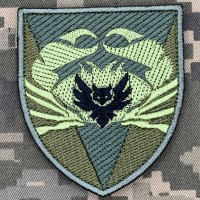 Шеврон Розвідка 34 ОБрМП Олива 