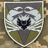Шеврон Розвідка 34 ОБрМП польовий