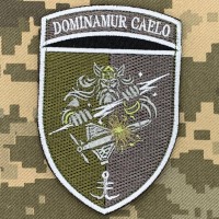 Шеврон ЗРАДН 35 ОБРМп Dominamur caelo польовий
