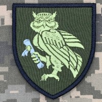Шеврон Інститут ДССТ олива