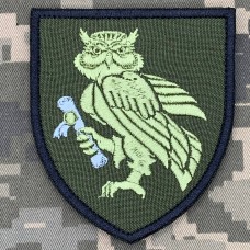 Шеврон Інститут ДССТ олива