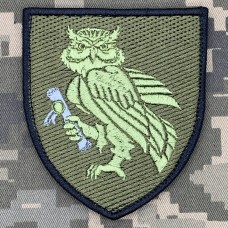 Шеврон Інститут ДССТ польовий