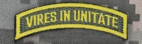 Нашивка девіз 15 АК Vires in Unitate