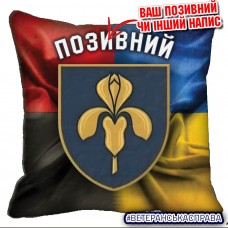 Декоративна подушка 11 ЗРБр combo