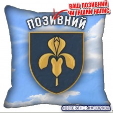 Декоративна подушка 11 ЗРБр Чисте Небо