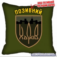 Декоративна подушка 127 окрема важка механізована бригада