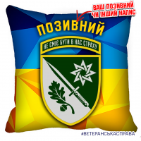 Декоративна подушка 152 ОЄБр