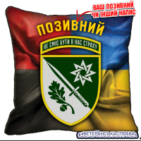 Декоративна подушка 152 ОЄБр Combo Декоративна подушка 152 ОЄБр Combo