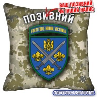 Декоративна подушка 155 ОМБр з новим шевроном Піксель