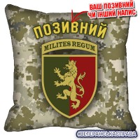 Декоративна подушка 24 ОМБр піксель