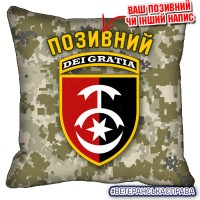 Декоративна подушка 30 ОМБр піксель