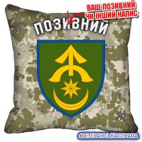 Декоративна подушка 31 ОМБр піксель