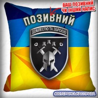 Декоративна подушка 42 ОМБр