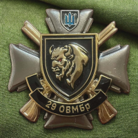 Знак 29 ОВМБр