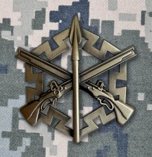 Беретний знак Сил територіальної оборони ЗСУ