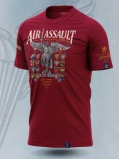 Футболка ДШВ Архістратиг Respublica