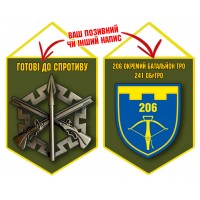 Вимпел 206 БТРО olive