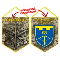 Вимпел 206 БТРО піксель