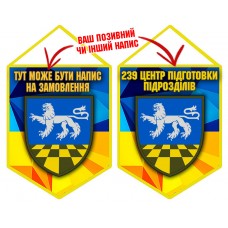 Вимпел 239 Центр підготовки підрозділів ЗСУ