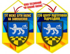 Купить Вимпел 239 Центр підготовки підрозділів ЗСУ в интернет-магазине Каптерка в Киеве и Украине