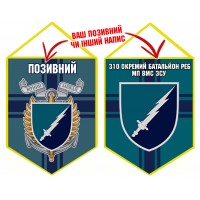 Вимпел 310 окремий батальйон РЕБ МП ВМС ЗСУ