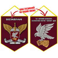 Вимпел 421 окремий батальйон безпілотних систем Сапсан ДШВ ЗСУ