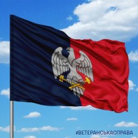 Прапор 31 ОРВП combo