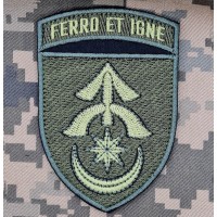 Шеврон 31 ОМБр Ferro et Igne Олива