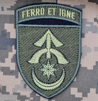 Шеврон 31 ОМБр Ferro et Igne Олива