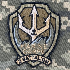 Нарукавний знак 2 батальйон 35 ОБрМП койот