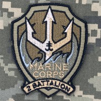 Нарукавний знак 2 батальйон 35 ОБрМП койот
