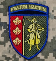 Нарукавний знак 65 ОМБр